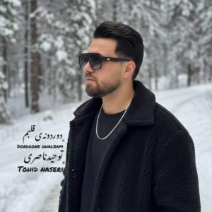 دانلود آهنگ توحید ناصری دوردونه ی قلبم