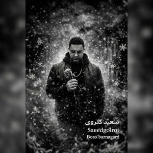 دانلود آهنگ سعید گلروی برو برنگرد