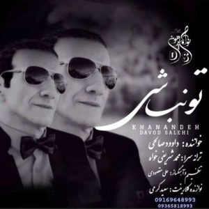 دانلود آهنگ داوود صالحي تو نباشي