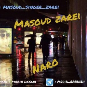 دانلود آهنگ مسعود زارعی نرو