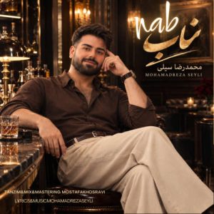 دانلود آهنگ محمدرضا سیلی ناب
